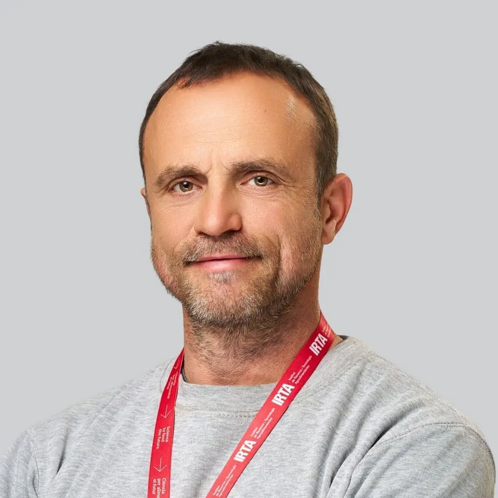Manel Ibars Saez