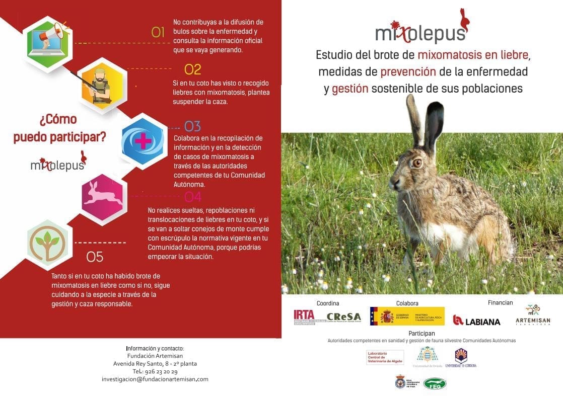 díptic Mixoleplus