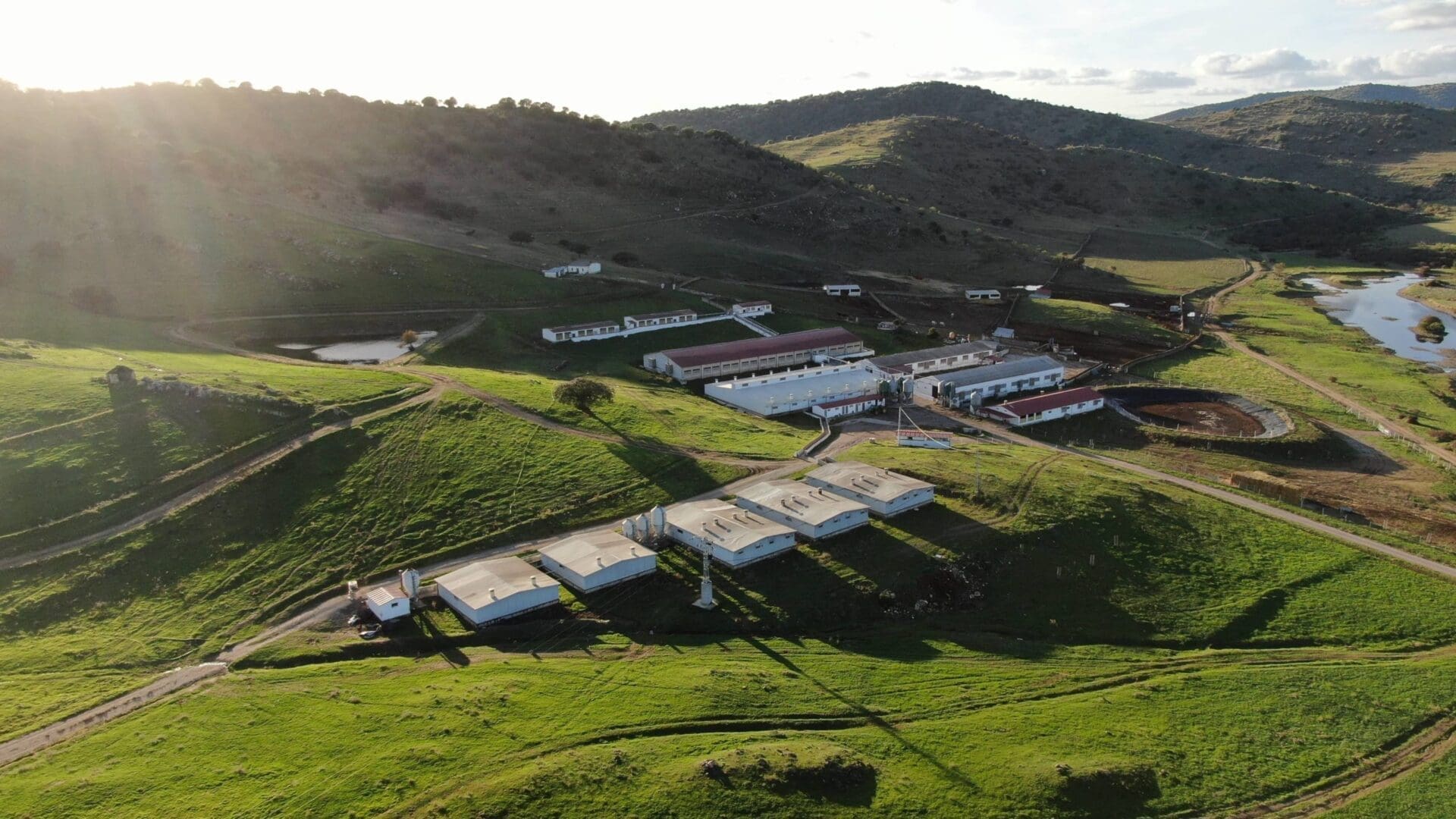 Granja Dehese Solobreña de Fregenal de la Sierra, ganadora del Porc d'Or de Diamante en Ibérico