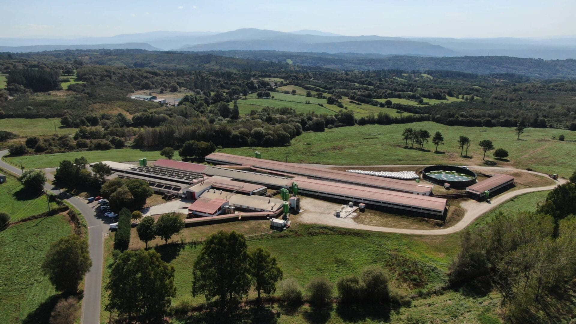 Granja Gulfar (Coren), d'Ourense, guanyadora del Porc d'Or de Diamant de capa blanca