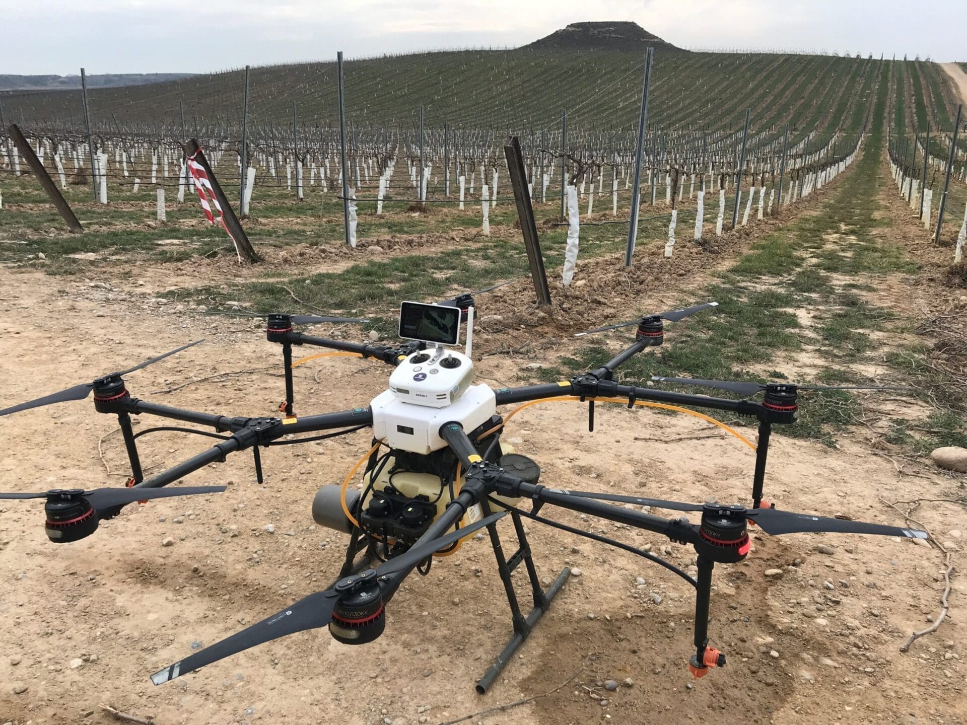 Dron a les vinyes de Raimat.