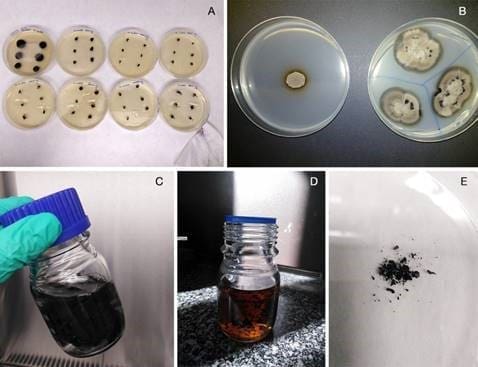 Fotos del processament del nou biomaterial