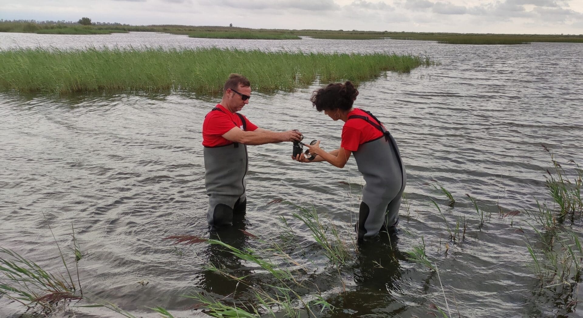 Investigadors de l'IRTA analitzant els microplàstics del Delta