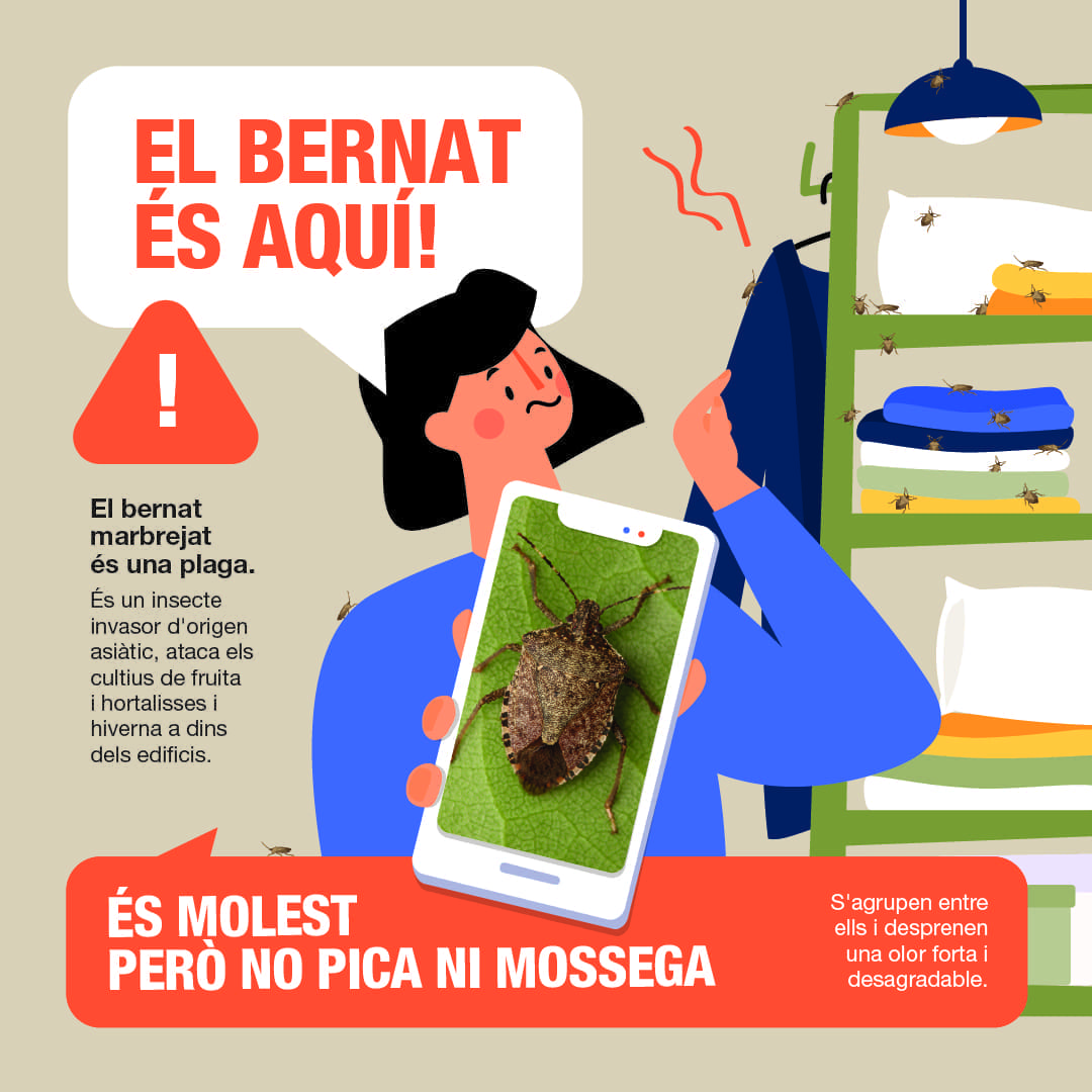 Aquesta imatge té l'atribut alt buit; el seu nom és bernat_marbrejat_esbusca_insta-500x500.jpg