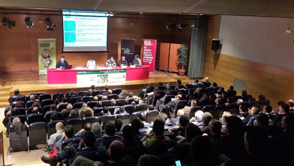 jornada-panis