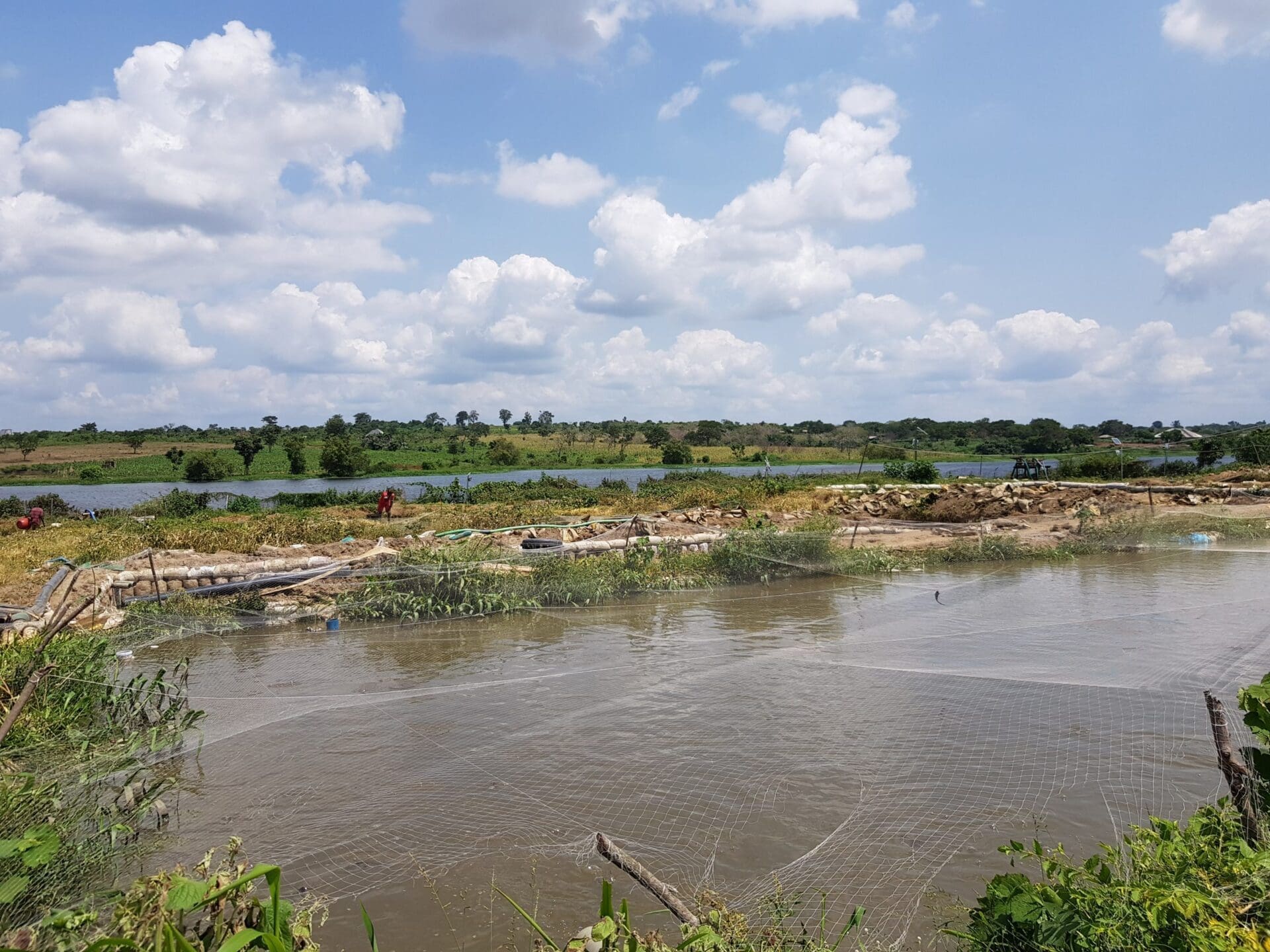 L’IRTA lidera una recerca internacional per fabricar una alternativa als antibiòtics basada en extractes rics en molècules amb activitat antimicrobiana