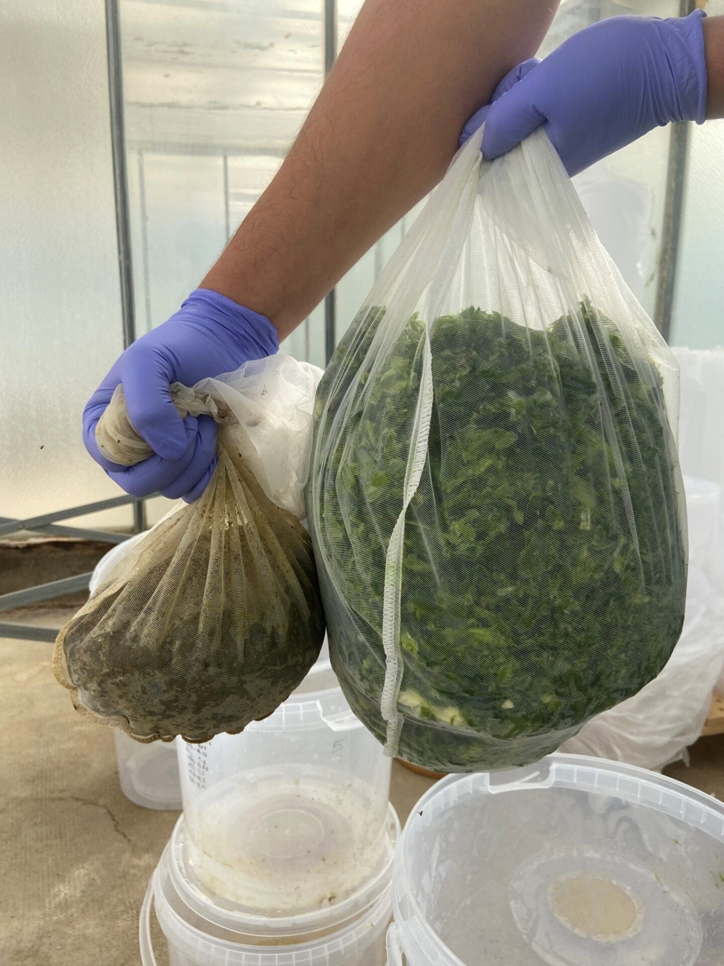 Un consorci català crea un sistema que reaprofita residus agrícoles mitjançant l’ús d’insectes per crear adobs i pinsos