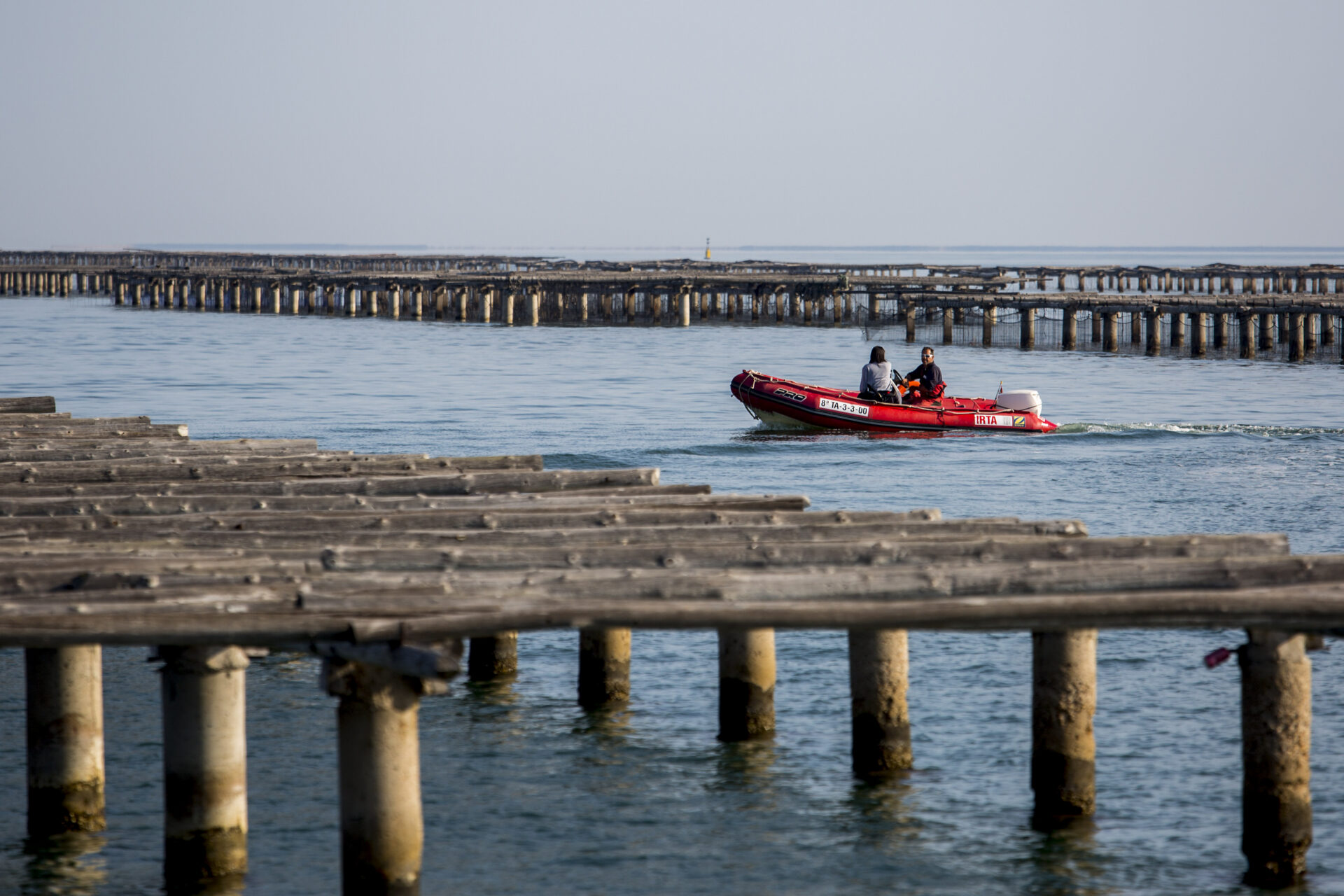 Puertas abiertas IRTA La Ràpita con motivo del Día Mundial de la Acuicultura 2025