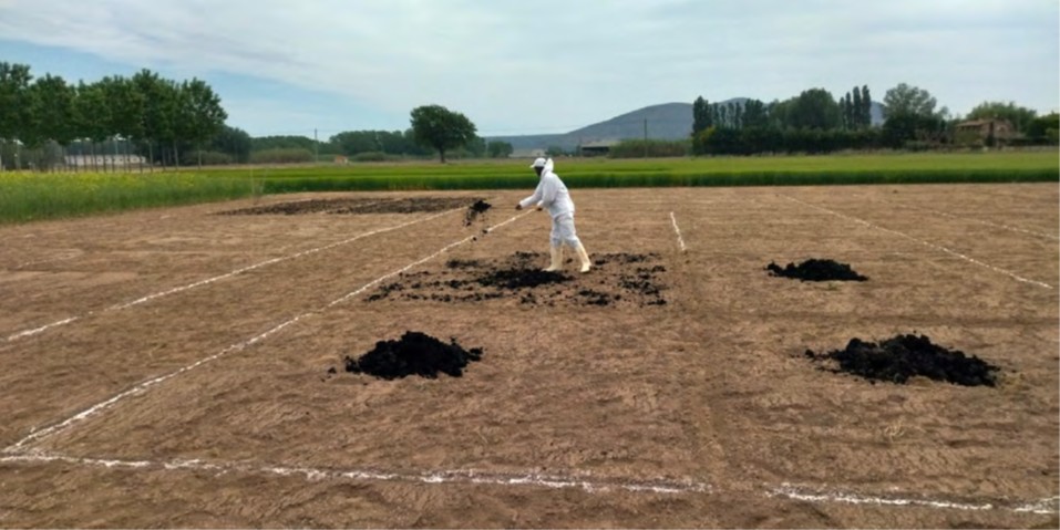 Colaboramos en la redacción del Pla d'Acció 2025–2027 de la Estrategia de la bioeconomía de Cataluña