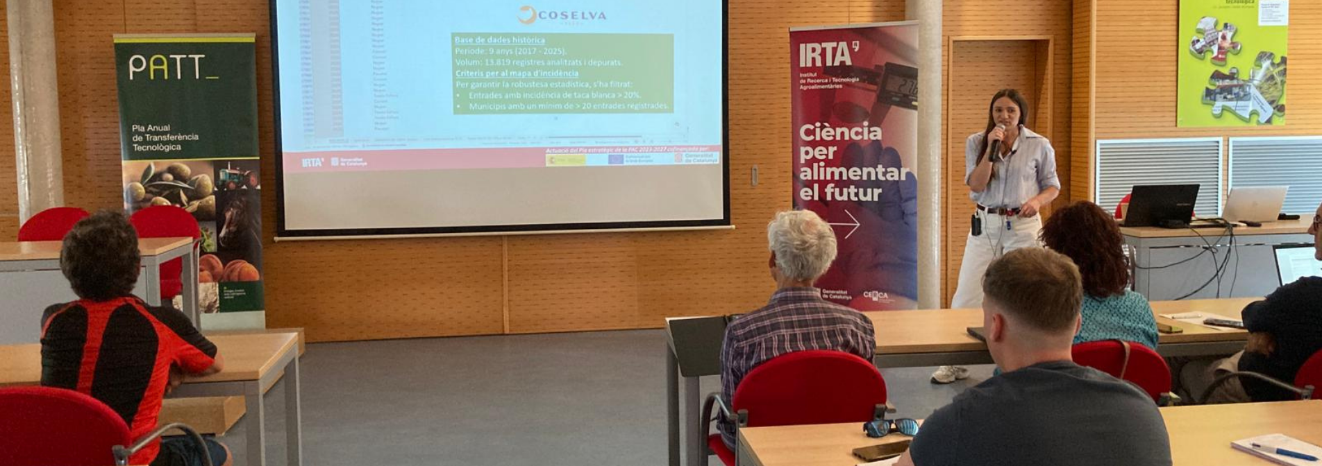 La XV Jornada Nacional de l’Avellana aborda a Constantí solucions innovadores per fer front a la crisi del sector