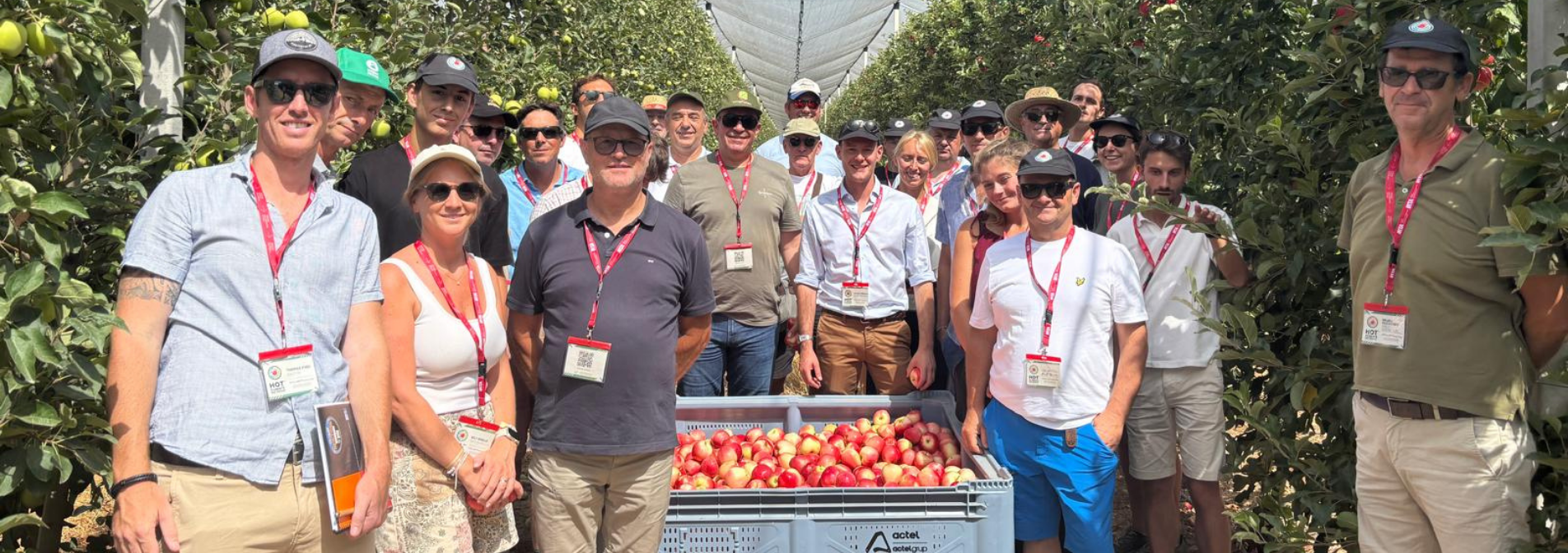 STELLAR™ demostra el seu potencial com a varietat de poma adaptada als estius càlids durant l’STELLAR™ Field Day