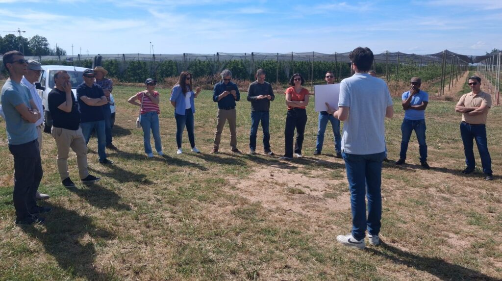 Visita a la parcela de Mollerussa donde se han ensayado estrategias para gestionar la sequía en manzano. Fuente: IRTA.