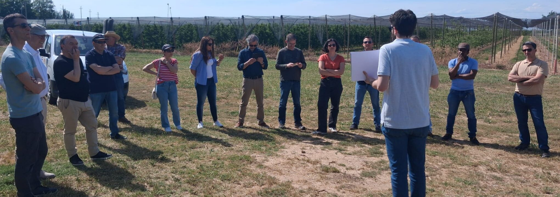 De regar millor a salvar l’arbre: GESTSEQUERA defineix com gestionar els fruiters davant la sequera