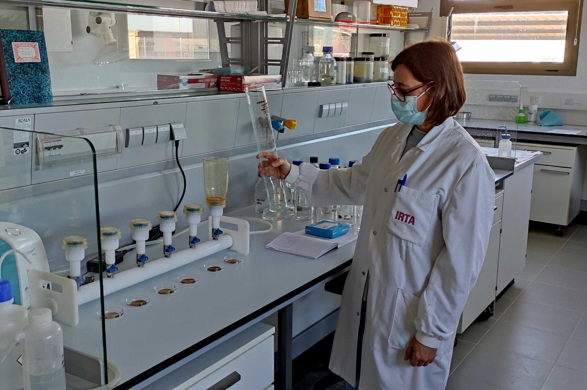 Investigadora de l'IRTA al laboratori