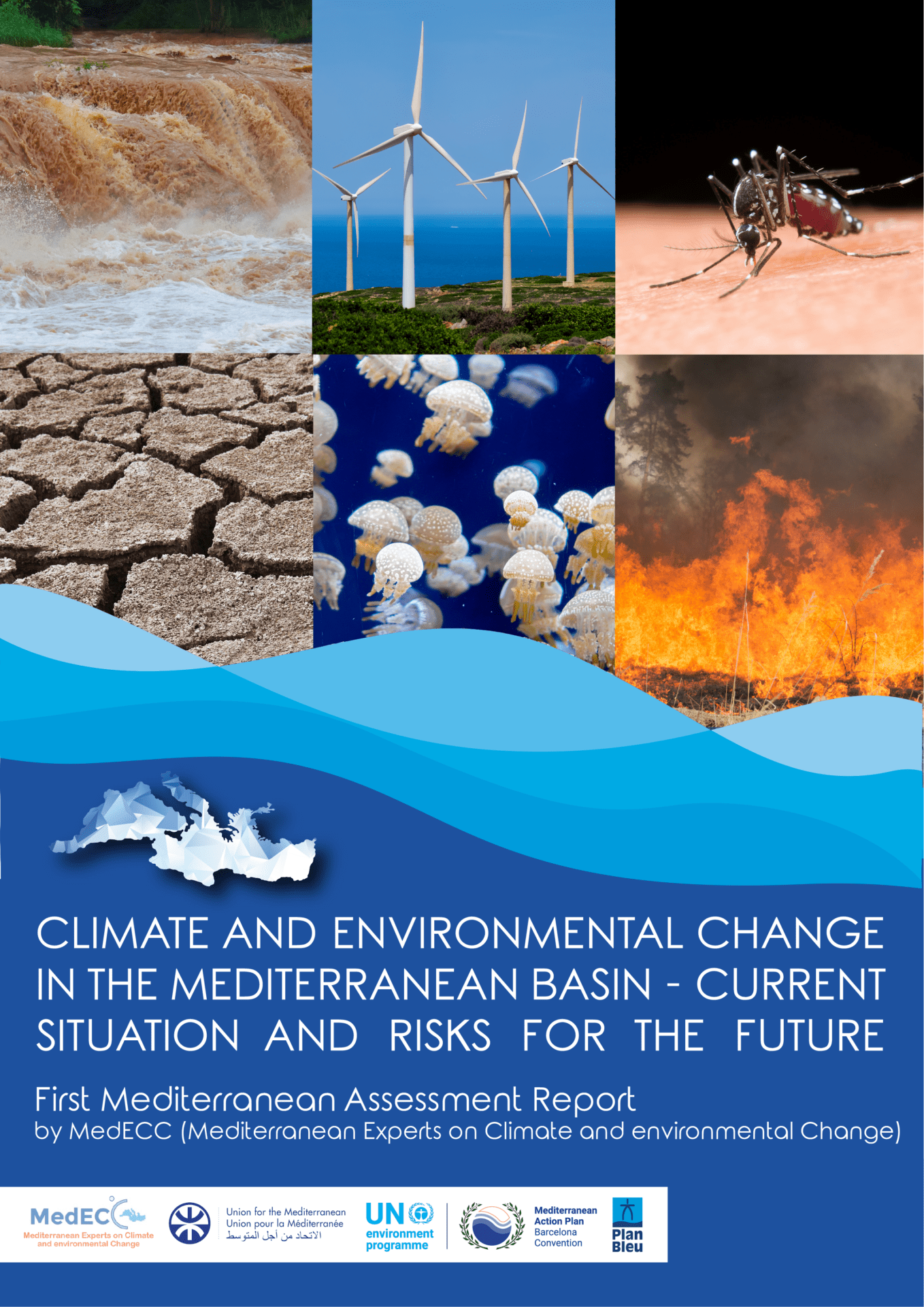 Portada de l'informe MedECC