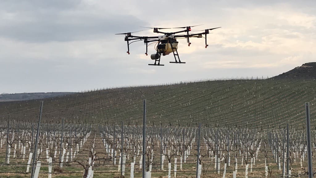 Dron sobrevolando las viñas de Raimat.