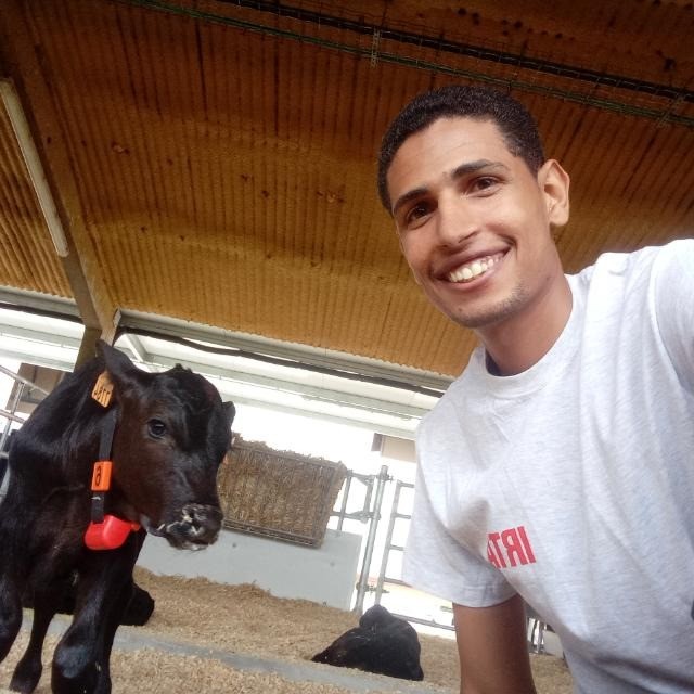 Muhammad Shaklouf Saeed