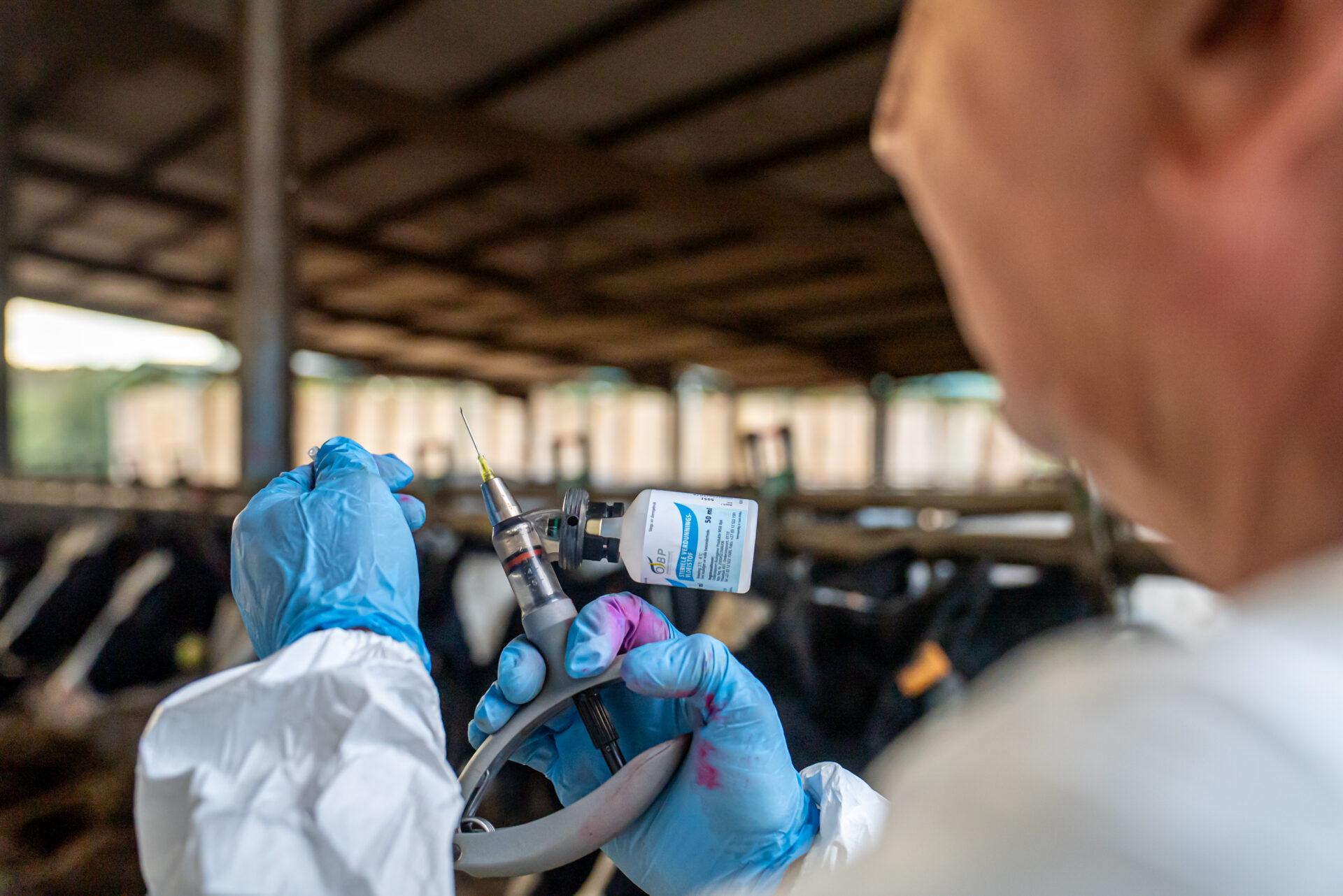 Imatge de la vacunació