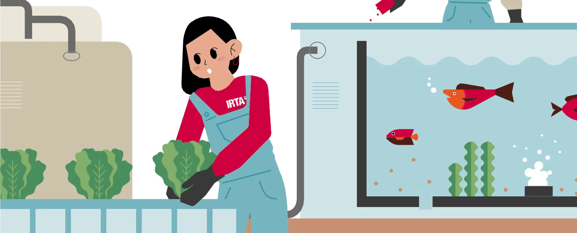 Presentem la Unitat Portàtil Aquapònica a la Fundació Mercè Pla