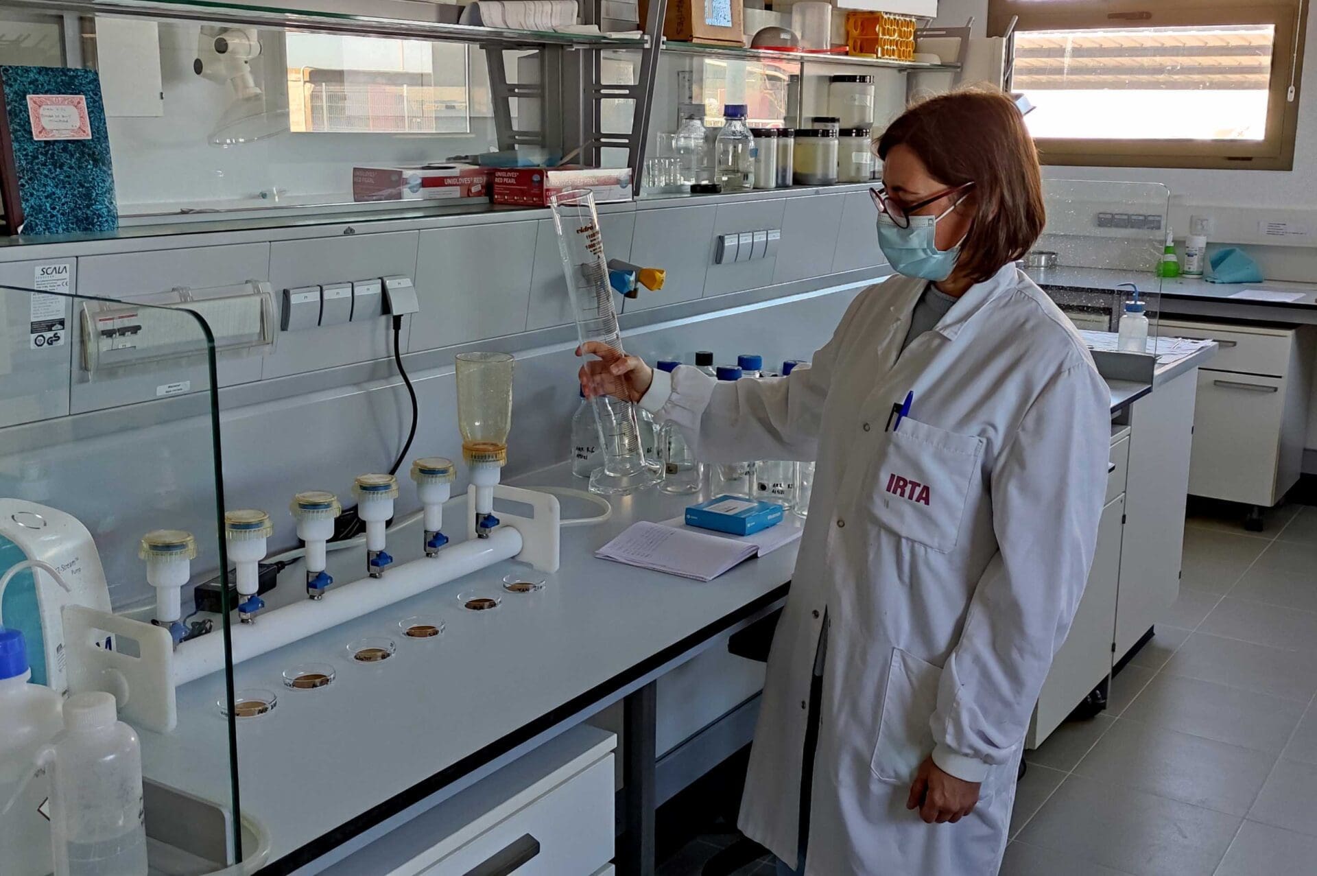 Investigadora de l'IRTA al laboratori