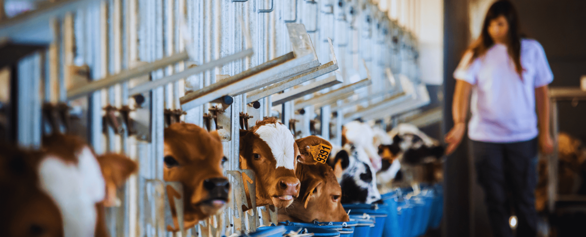Fem ciència per alimentar el futur