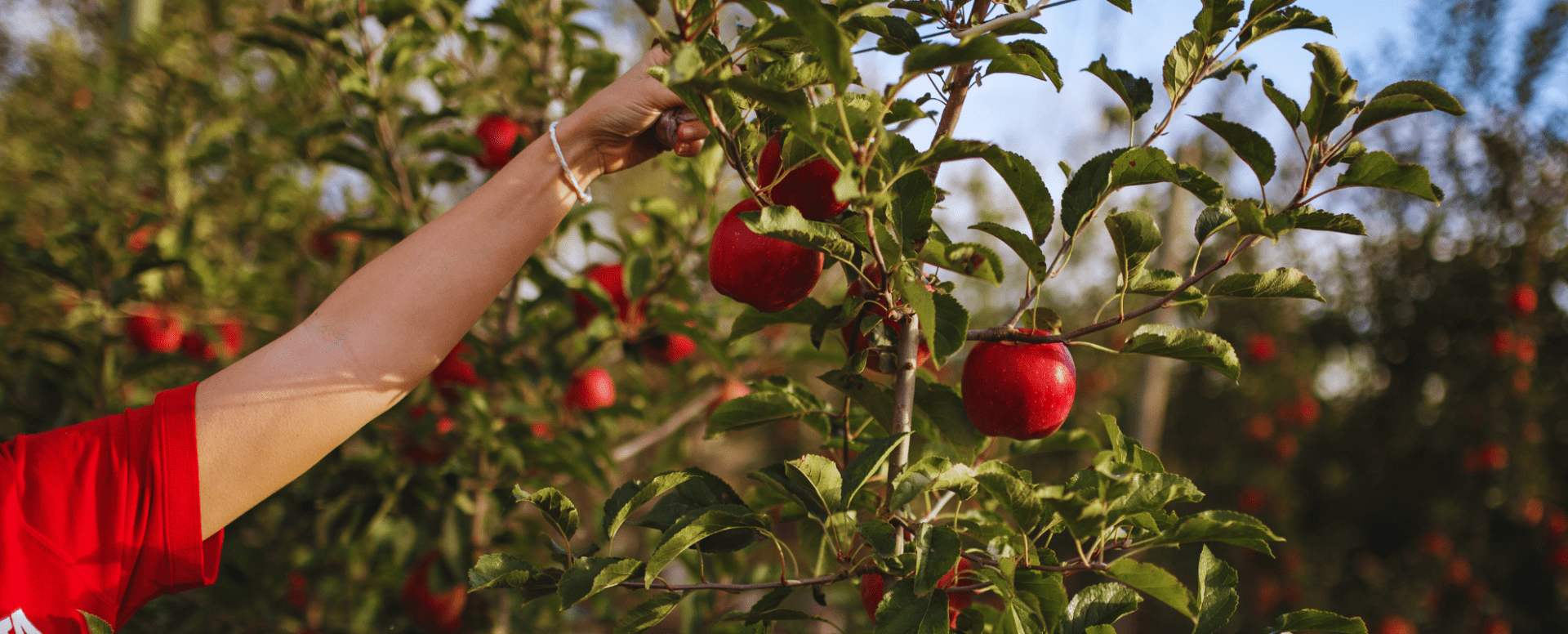 Fem ciència per alimentar el futur