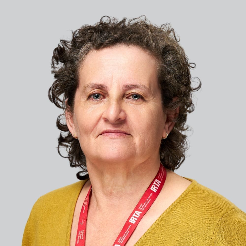 Pilar Hernandez Garcia