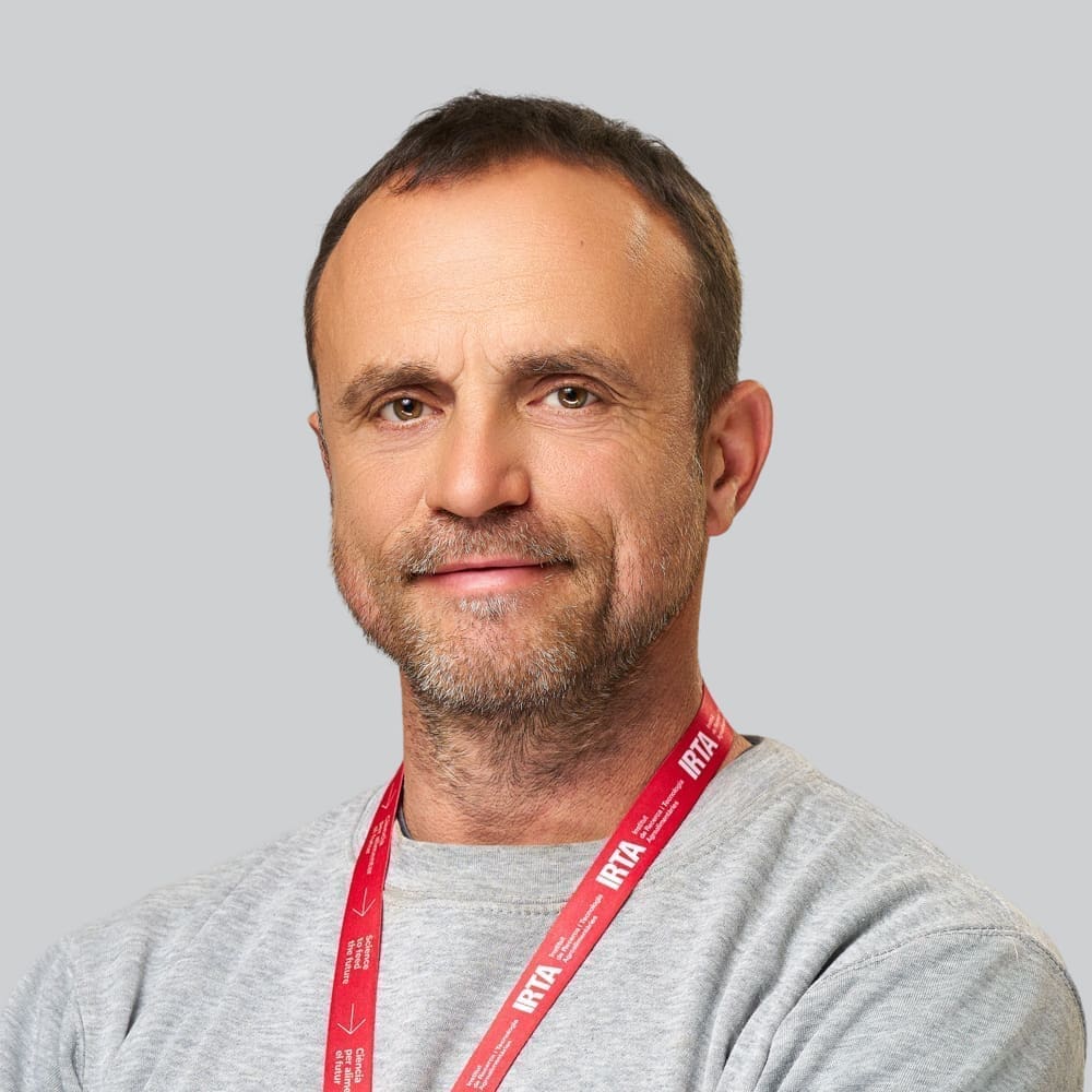 Manel Ibars Saez